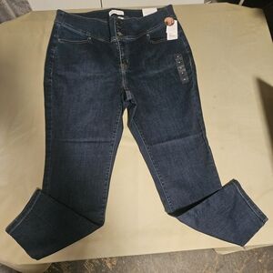 Lane Bryant Dark Indigo Stretch Jeggings - Classic Dark Blue